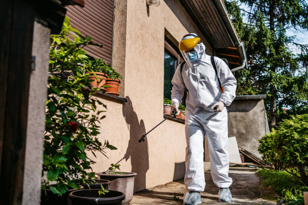 Best Mosquito Control Services  in Avonia, PA