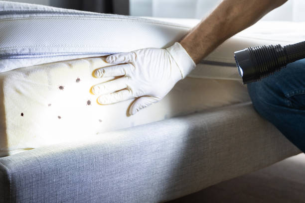 Best Emergency Pest Control  in Avonia, PA