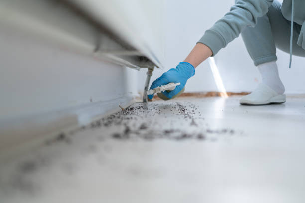 Reliable Avonia, PA Pest Control Solutions